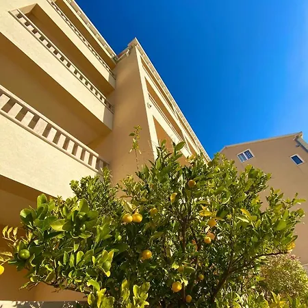 Dzamonja Bol