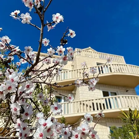 Hotel Dzamonja Bol