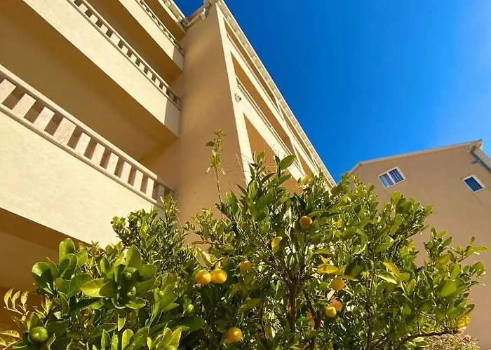 Dzamonja Bol