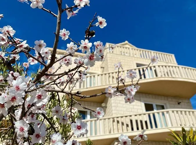 Otel Dzamonja Bol